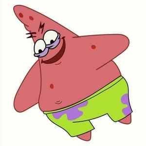 Meet your Posher, Sophie